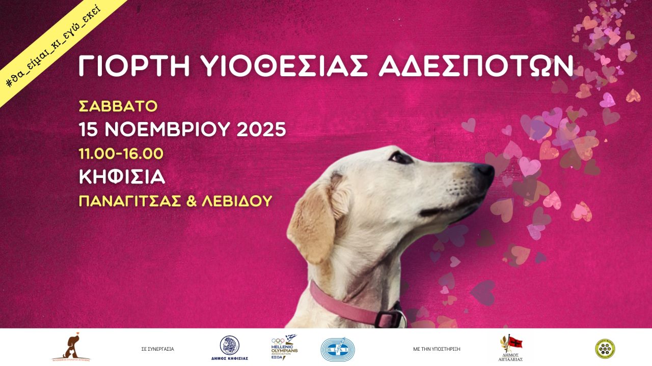 Afisa_151125_cover_0