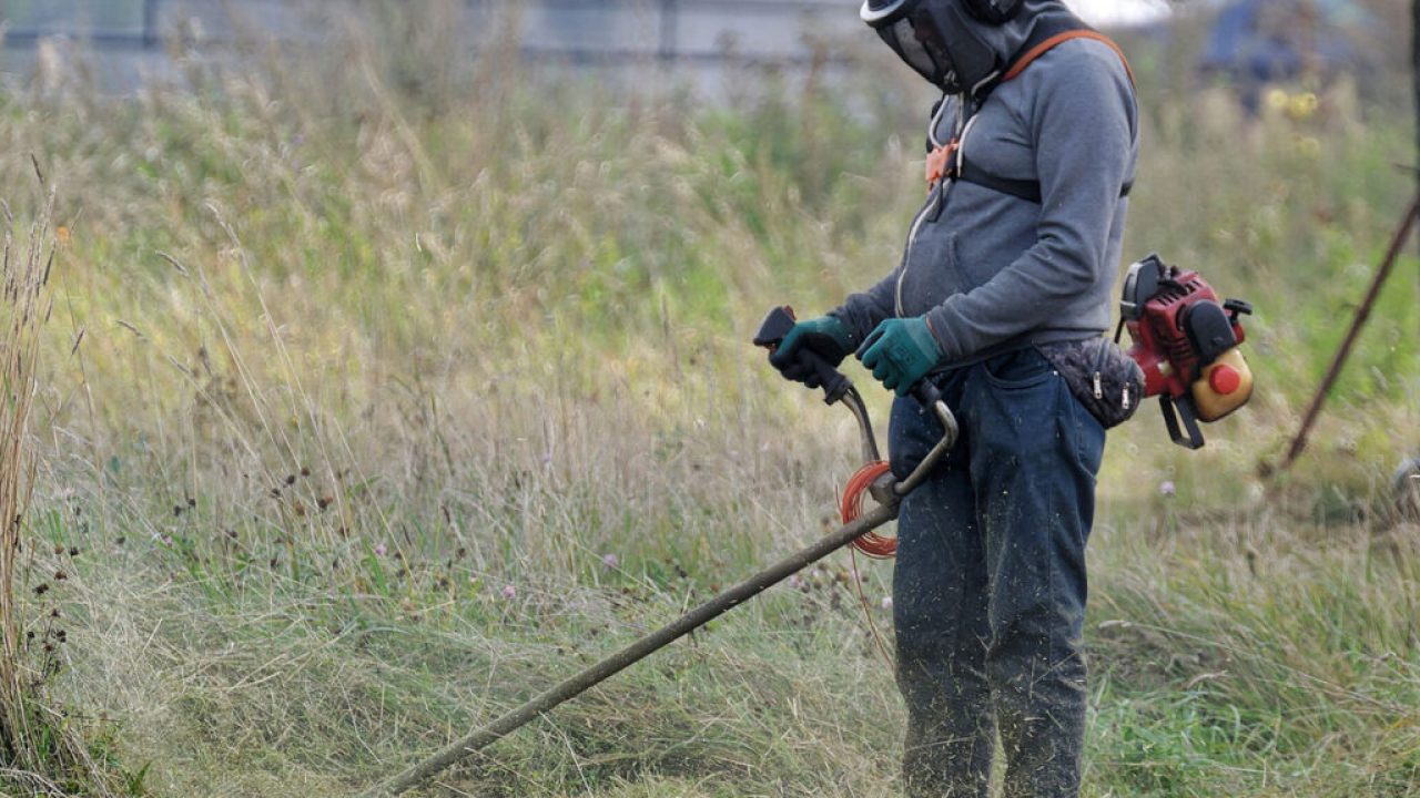 KATHARISMOS-OIKOPEDA