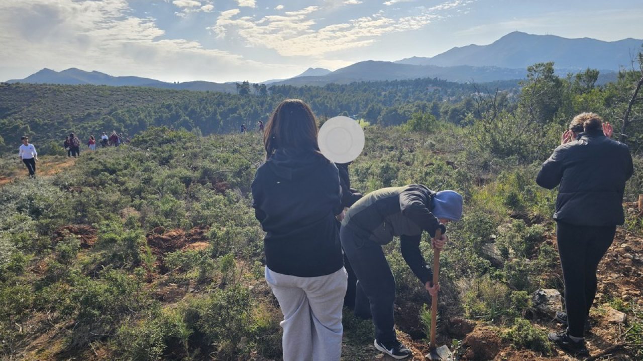 spap_dendrofyteysi 5